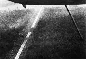 Wanderer: Advance of Army Group North on the Eastern Front, 1941