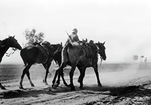 Kessler: Advance on the Eastern Front, 1941