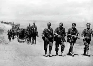 Cadvances: The advance of German troops between the Don and the Volga