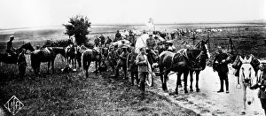 Paramedic: Advance of German troops on the Western Front, 1914