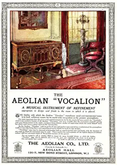 Cushioned: The Aeolian Vocalion Advertisement