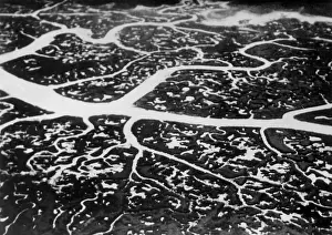 Countless: Aerial view of the Amazon, 1930