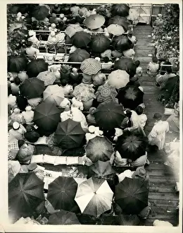 Raincoats: Aerial view of umbrellas, Coronation procession, London