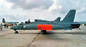 Aermacchi: Aermacchi MB-339A MM54499 - 61-45