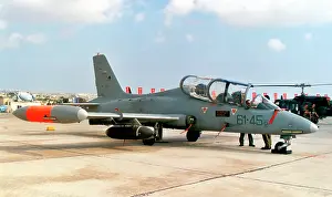 Militare: Aermacchi MB-339A MM54499 - 61-45