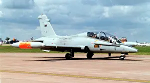 Gruppo: Aermacchi MB-339CD MM55079