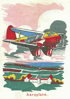 Sharman: Aeroplane in flight