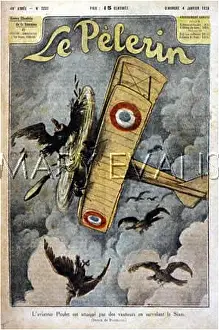 Benoist: AEROPLANE AND VULTURES