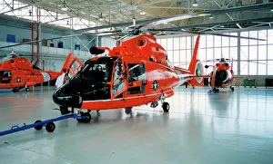 Dolphin: Aerospatiale HH-65B Dolphin helicopters