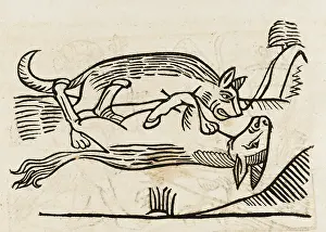 Fables: AESOP / ASS AND WOLF