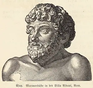 Albani: Aesop - Bust - Rome