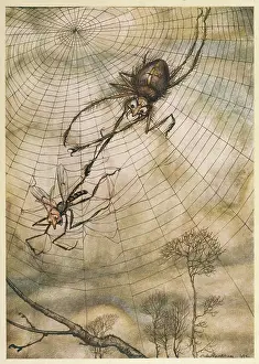 Fables: Aesop - Gnat and the Lion