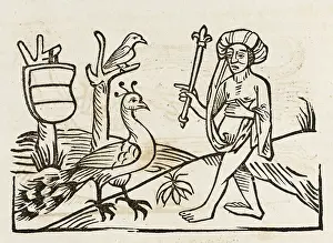 Juno: AESOP / JUNO AND PEACOCK