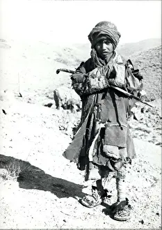 Ewes: Afghanistan - Iran - Iraq