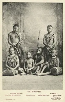 Pygmies: Afgican Pygmies