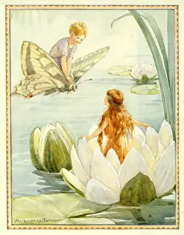 Lillies: Afloat on a Waterlily