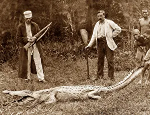 Safari: Africa Big Game Hunter pre-1900