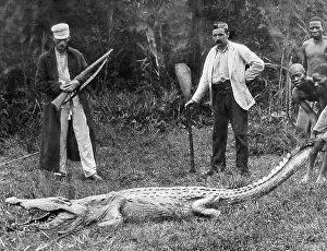 Safari: Africa Big Game Hunter pre-1900