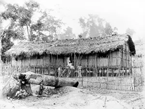Charles Couldry: AFRICA/BUSH HOUSE