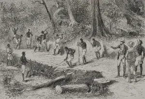 Colonisation: Africa. Congo. Construction of a road
