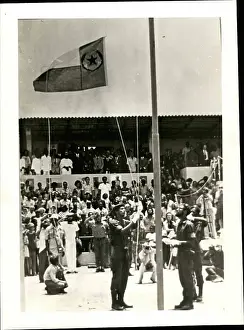 Vert: Africa - Egypt