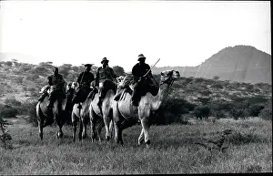 Aided: Africa - Egypt
