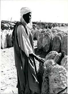 Neighbor: Africa - Egypt