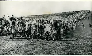 Ferocity: Africa - Egypt