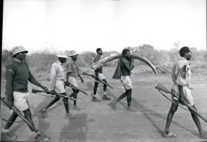 Poacher: Africa - Egypt