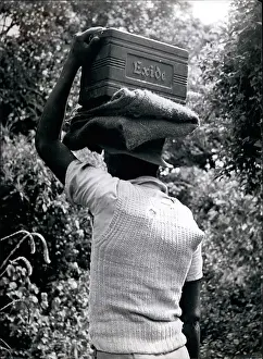 Exide: Africa - Egypt