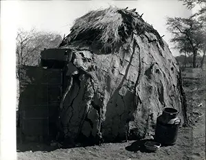 Damara: Africa - Egypt