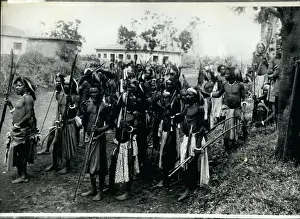 Bashi: Africa - Egypt