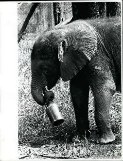 Kilos: Africa - Egypt
