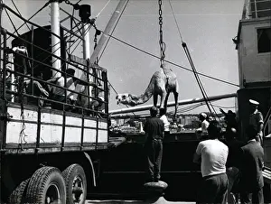 Libia: Africa - Egypt