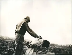Massacres: Africa - Egypt
