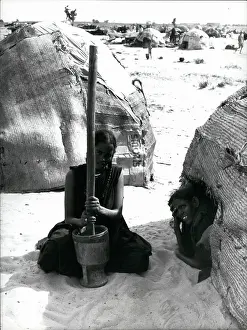 Millet: Africa - Egypt