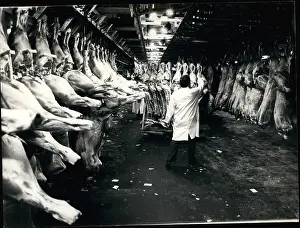 Halles: Africa - Egypt