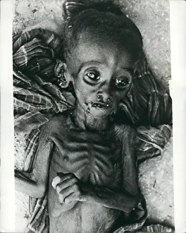 Intensive: Africa - Egypt
