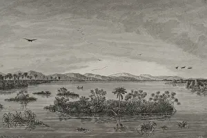 Zaire: Africa. Floating islands in the Upper Congo