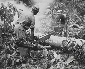 Bougainville: African American combat engineers use a motor-driven