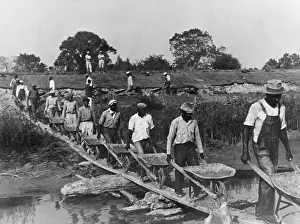 Levee: Fifteen African American laborers with wheel ?