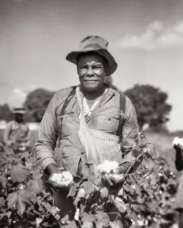 Sharecropper: Serious African American Man Standing in Field