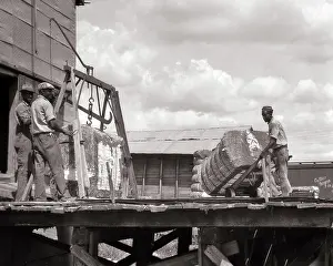 Backbreaking: Three African American Men Manually Moving 500
