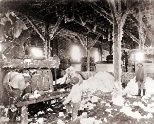 Ginning: African American men working in a cotton ?