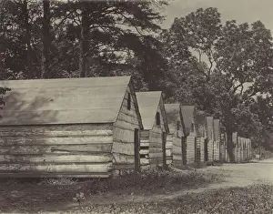 Shacks: African American shacks, original caption: ?