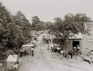 Baling: African Americans and mule drawn wagons ?