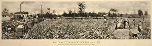 Depends: African Americans working in a cotton field, ?
