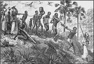 Trafficking: African captives were yoked together with ?