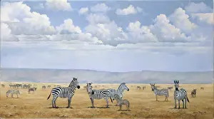 Wildebeest: Under African Skies ' Zebras