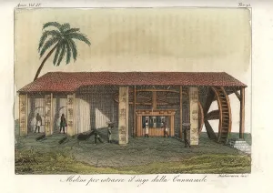 Sugarcane: African slaves processing sugar on a plantation, West Indies